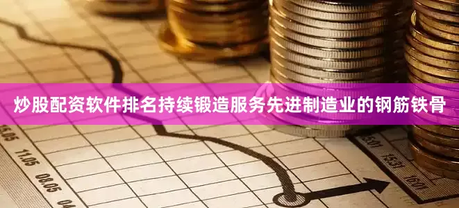 炒股配资软件排名持续锻造服务先进制造业的钢筋铁骨