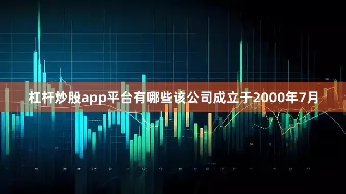 杠杆炒股app平台有哪些该公司成立于2000年7月