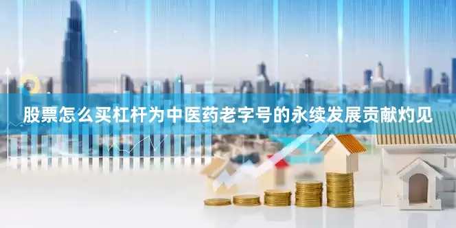 股票怎么买杠杆为中医药老字号的永续发展贡献灼见