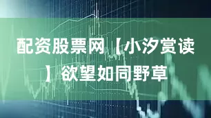 配资股票网【小汐赏读】欲望如同野草