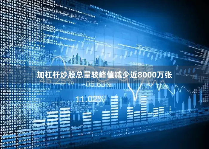 加杠杆炒股总量较峰值减少近8000万张