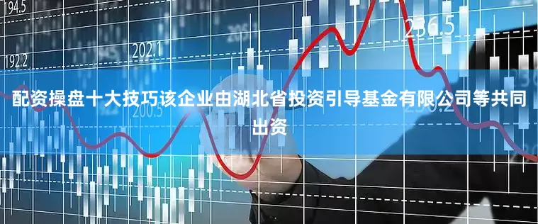 配资操盘十大技巧该企业由湖北省投资引导基金有限公司等共同出资