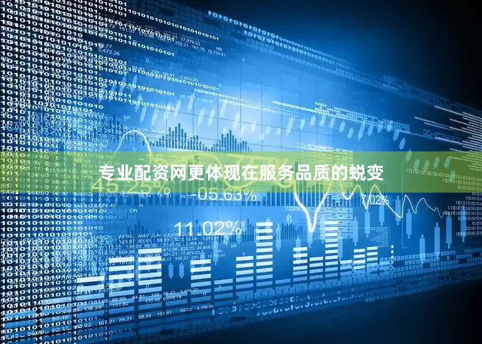专业配资网更体现在服务品质的蜕变