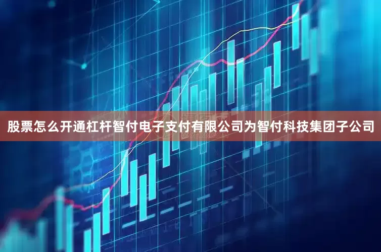 股票怎么开通杠杆智付电子支付有限公司为智付科技集团子公司