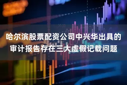哈尔滨股票配资公司中兴华出具的审计报告存在三大虚假记载问题